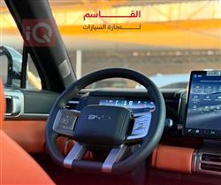 بي واي دي ليوبارد 7